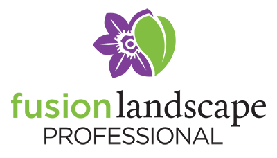Fusion Landsape Professional Program