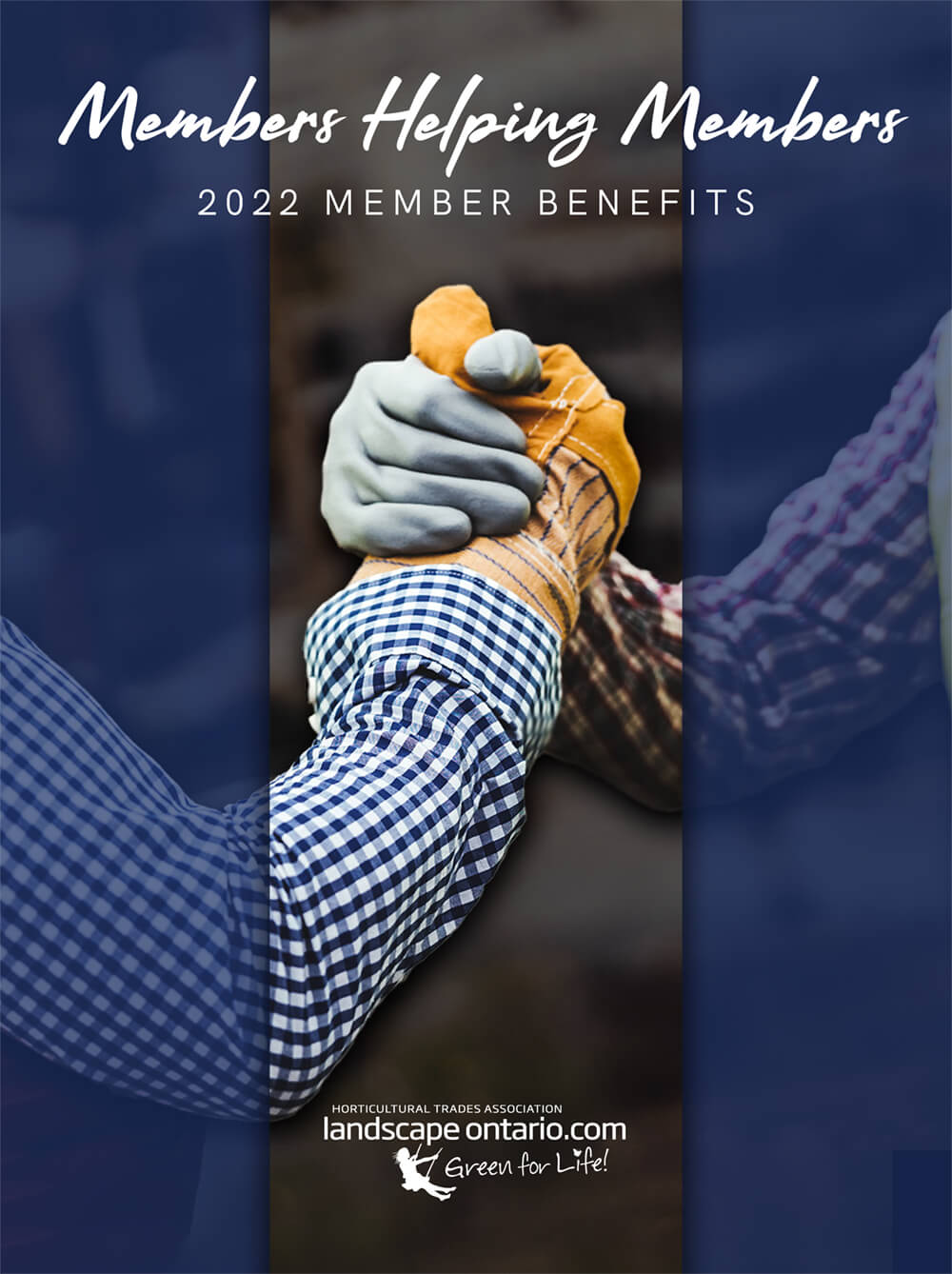 2022 Member Benefits